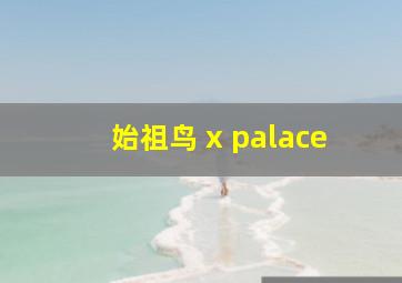 始祖鸟 x palace